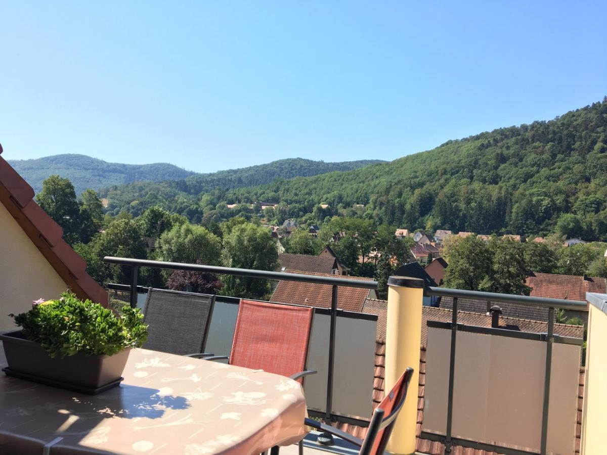 Le Panorama Kaysersberg-Vignoble Exterior photo