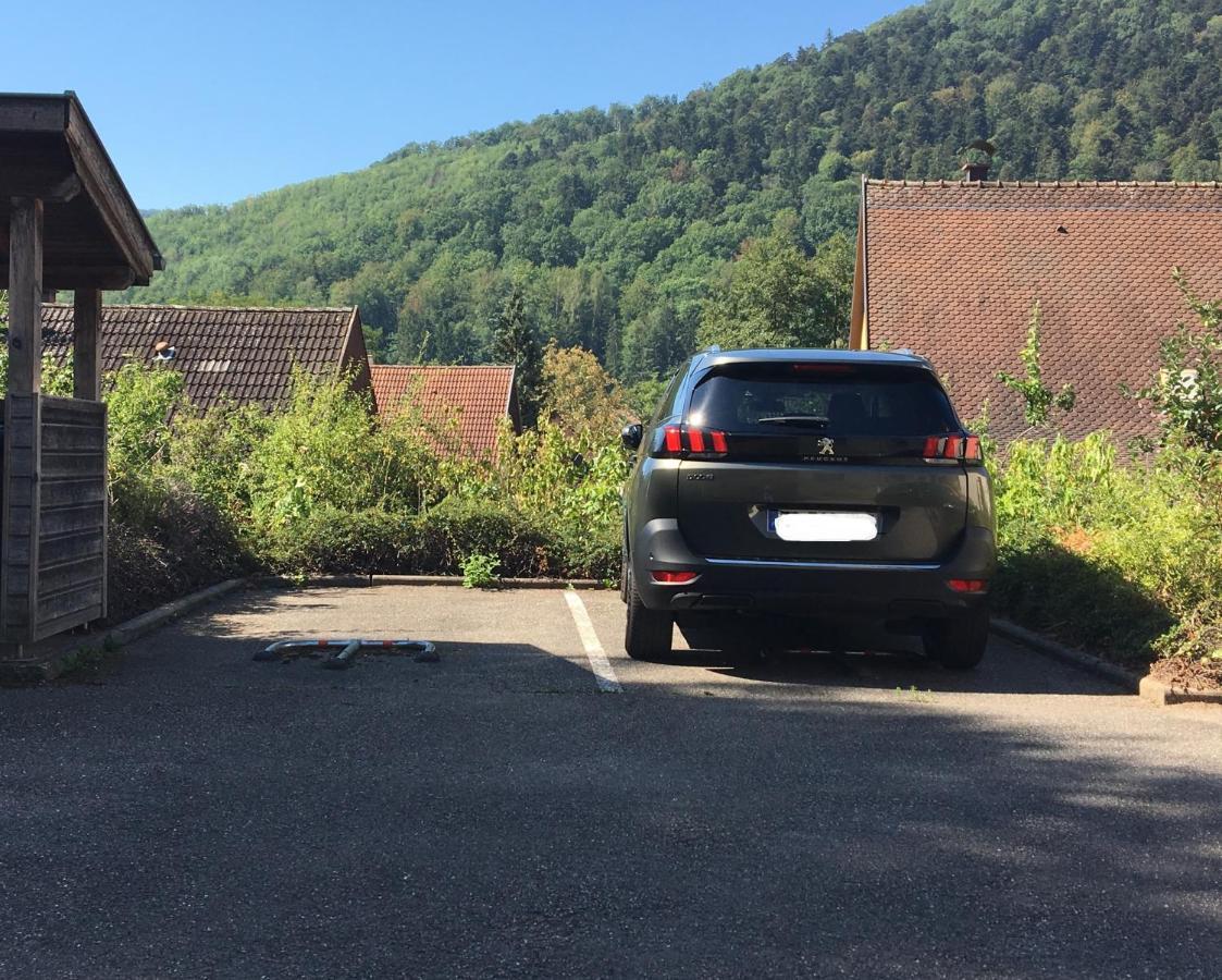 Le Panorama Kaysersberg-Vignoble Exterior photo