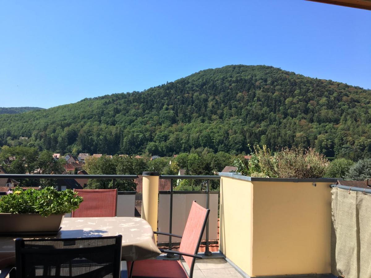 Le Panorama Kaysersberg-Vignoble Exterior photo