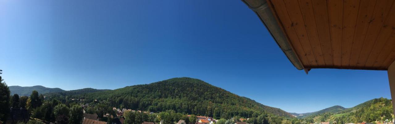 Le Panorama Kaysersberg-Vignoble Exterior photo